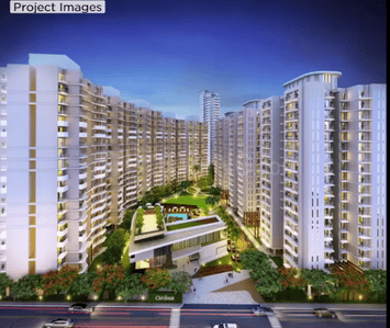3 BHK Apartment
