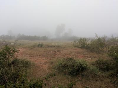 Residential Plot