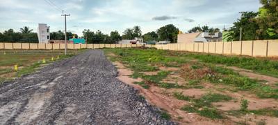 Residential Plot