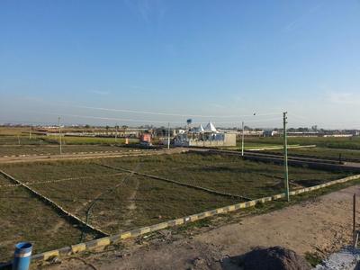 Residential Plot