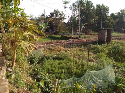 Residential Plot