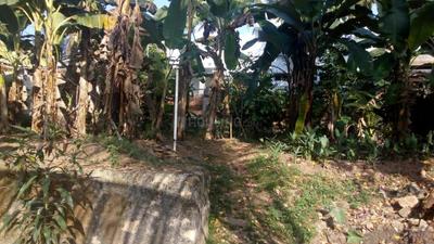 Gallery Cover Image of Sq.ft Residential Plot for buy in Vazhottukonam for 6000000