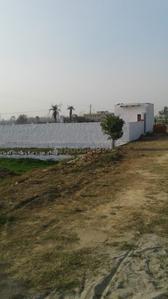 Residential Plot