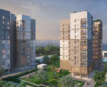3 BHK Apartment