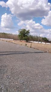 Gallery Cover Image of Sq.ft Residential Plot for buy in Veterinary Colony for 899919
