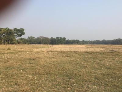 Gallery Cover Image of Sq.ft Residential Plot for buy in Thakurpukur for 518000