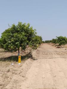 Gallery Cover Image of Sq.ft Residential Plot for buy in Shadnagar for 1363500