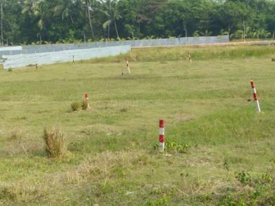 Gallery Cover Image of Sq.ft Residential Plot for buy in Rasapunja for 350000