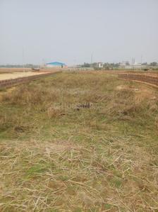 Residential Plot