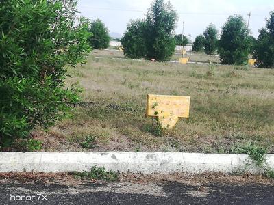 Residential Plot