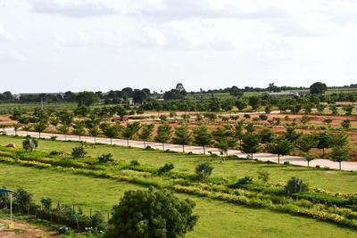 Residential Plot