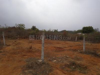 Residential Plot