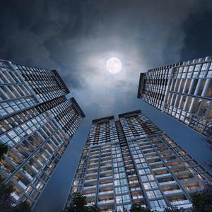 3 BHK Apartment
