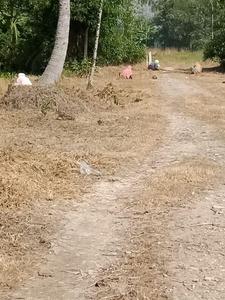Residential Plot