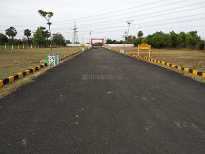 Residential Plot