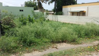 3650 Sq.ft Residential Plot for Sale in Jothi Nagar, Pollachi