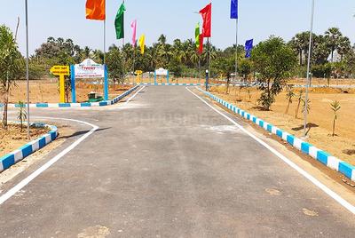 Residential Plot