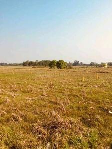 Residential Plot