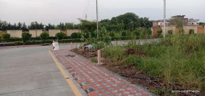 Residential Plot