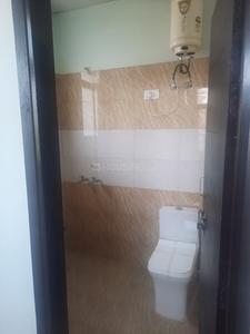 Bathroom Image of Roa PG in DLF Phase 2
