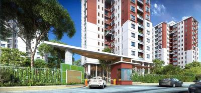 3 BHK Apartment