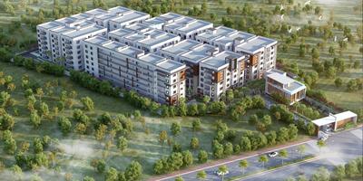 3 BHK Apartment