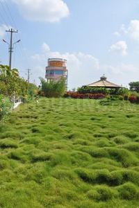 Gallery Cover Image of Sq.ft Residential Plot for buy in Yadagirigutta for 605000