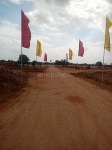Residential Plot