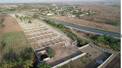 Gallery Cover Image of Sq.ft Residential Plot for buy in Uruli Kanchan for 3182400