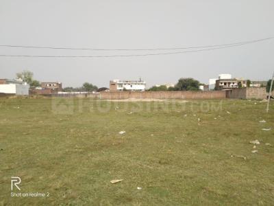 1512 Sq.ft Residential Plot for Sale in Tri Nagar, New Delhi
