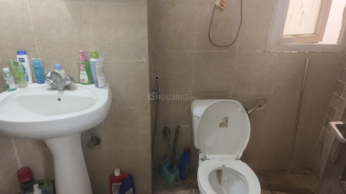 Saviour Iris - Image 5