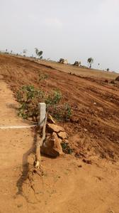 Residential Plot