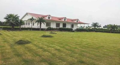 Gallery Cover Image of Sq.ft Residential Plot for buy in Sector 135 for 4750000