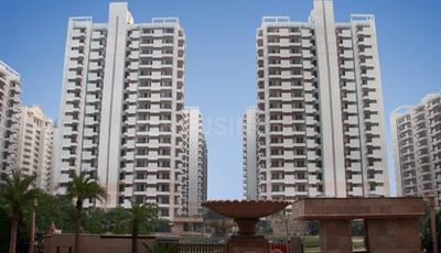 3 BHK Apartment