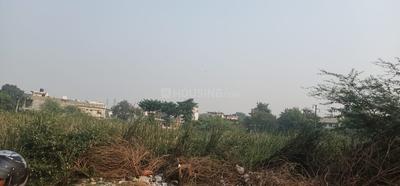 Residential Plot