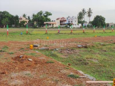 Residential Plot