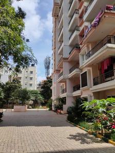 Gallery Cover Image of 1750 Sq.ft 3 BHK Apartment for rent in Brookefield for 38000