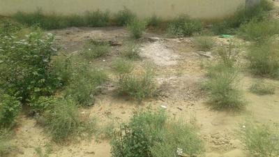 Gallery Cover Image of Sq.ft Residential Plot for buy in Sector 110 for 2520000