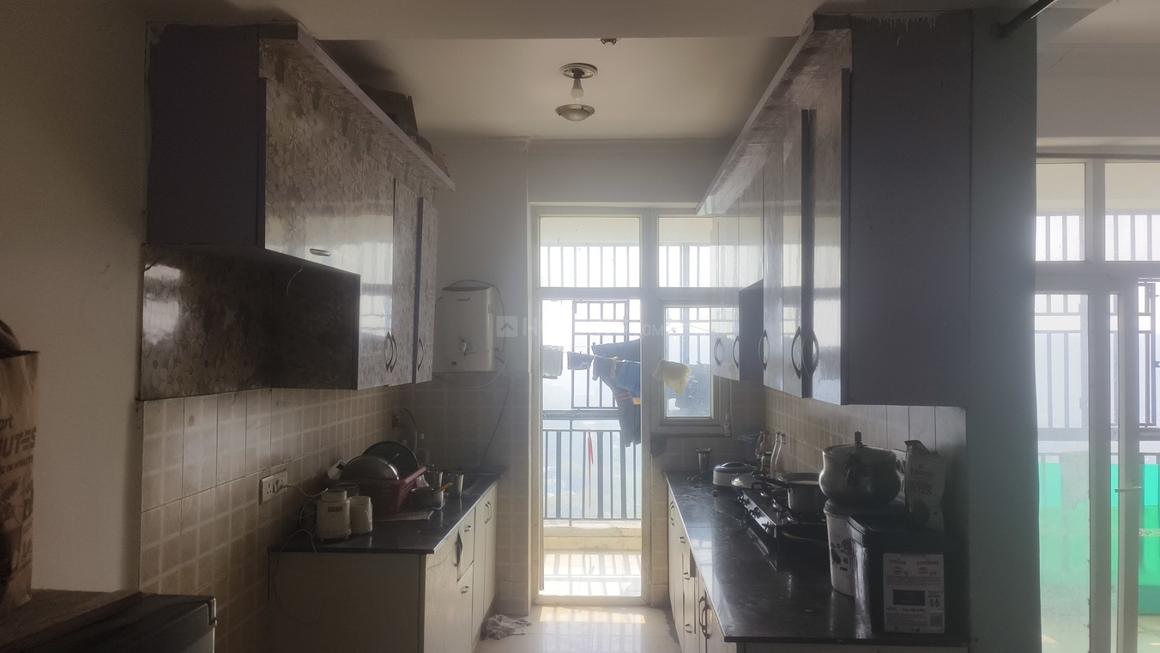 Saviour Iris - Image 6