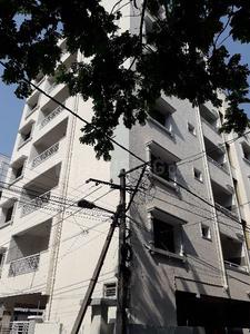 3 BHK Apartment