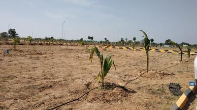 Gallery Cover Image of Sq.ft Residential Plot for buy in Gandhi Nagar for 165000