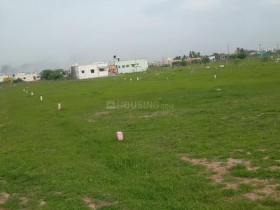 Gallery Cover Image of Sq.ft Residential Plot for buy in Veppampattu for 700000