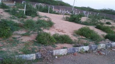 Gallery Cover Image of Sq.ft Residential Plot for buy in Shamshabad for 1440000