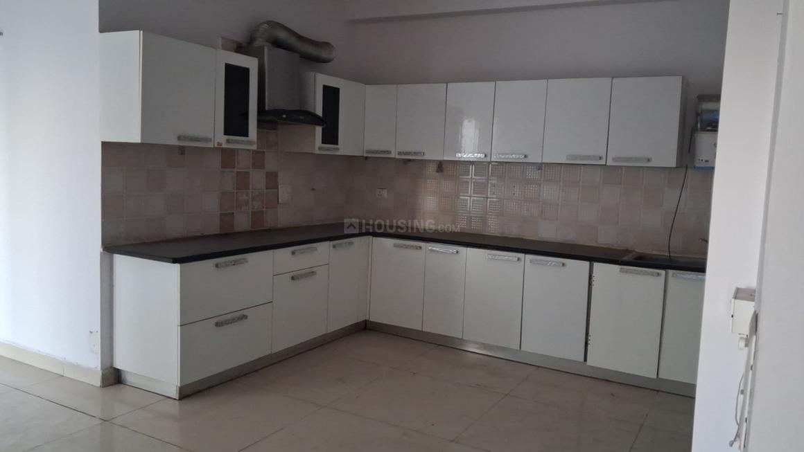 Saya Zion - Image 17