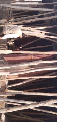 3 BHK Independent Floor