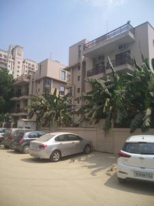 Building Image of Coho PG in Sushant Lok I