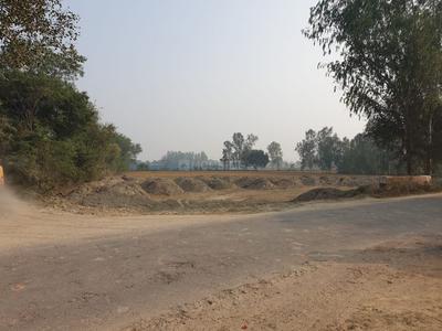 Gallery Cover Image of Sq.ft Residential Plot for buy in Anora Kala for 1399000