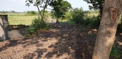 Residential Plot