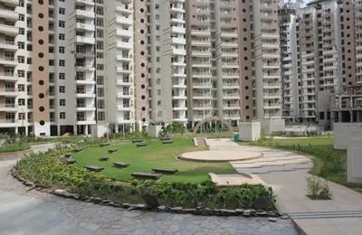 Gallery Cover Image of 1080 Sq.ft 2 BHK Apartment for buy in Knowledge Park 1 for 5700000