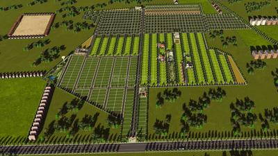 Residential Plot